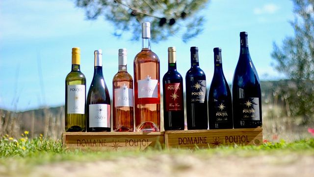Domaine du Poujol