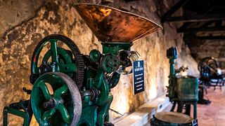 Burmester Wine Cellar: A Legacy of Excellence