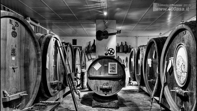 Dégustation de vins et visite à la Cascina Bruni