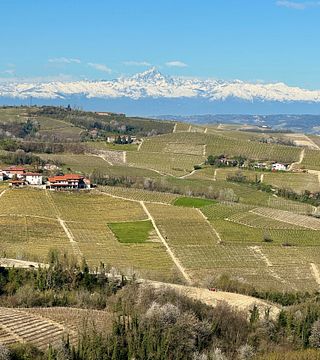 Entdecken Sie die Langhe bei einer Verkostung von 5 Weinen und einer authentischen Kellerbesichtigung.