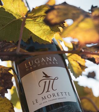 Le Morette,il Lago e la Cucina