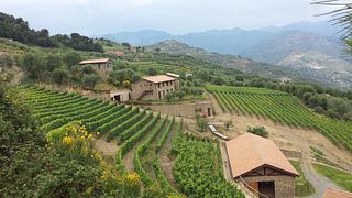 Weinprobe bei Altavia
