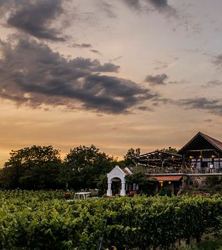 Cata de vinos en la finca Szaszi