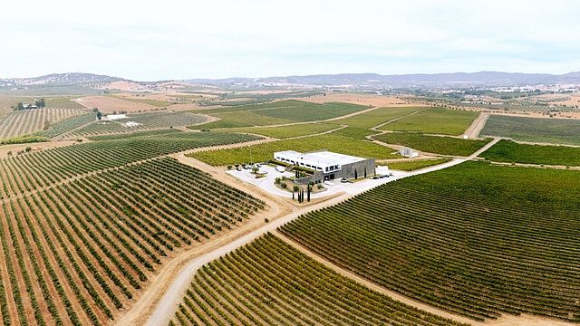 Tour, degustazione di vini e pranzo presso Ribafreixo Wines