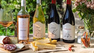Taste Super Tuscan Wines on a Premium Tour