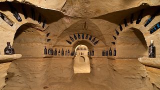 Dégustation de vins et visite chez Nota Giuliano
