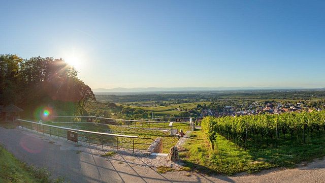 Britzingen Degustazione di vini tipici della regione