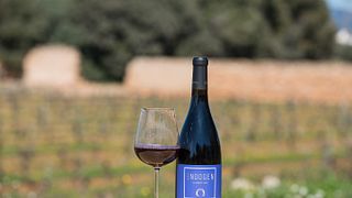 Premium-Weinprobe und Tour auf der Finca Mas Perdut