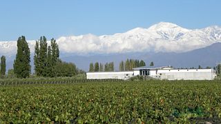 Dégustation de vins et visite chez Mevi