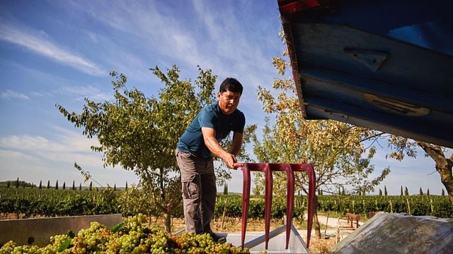 La Vinyeta Winery