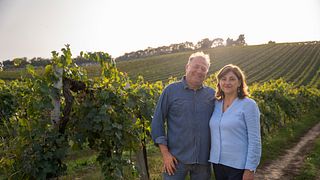 Montepulciano d'Abruzzo DOC: Rundtur och provsmakning i Majella nationalpark