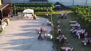 Emilia-Romagna Wine Journey at Cantina Randi