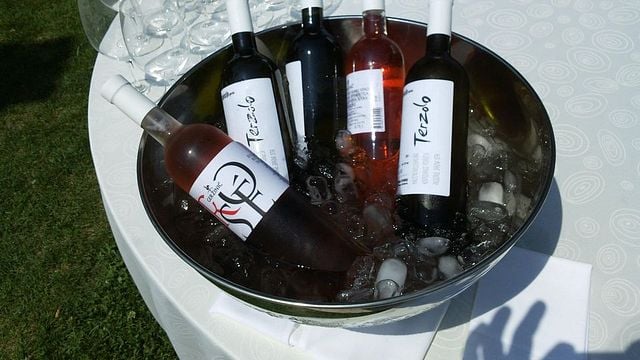 Degustazione di vini e visita alla cantina Gerzinic