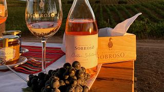 Källar- och vingårdstur och provsmakning på Herdade Do Sobroso Wine & Luxury Boutique Hotel