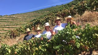 Degustazione di vini e tour a Quinta Do Cume