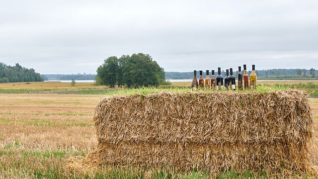 Cata de vinos y visita guiada en Blaxsta Wine