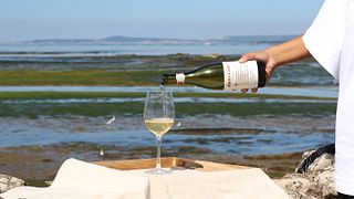 Wine tasting and guided tour at Bodegas Martín Códax