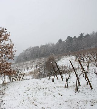Estancia en casa rural en Domaine Bott-Geyl