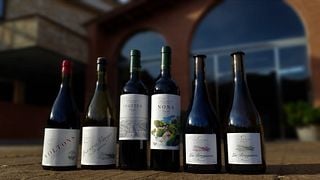 Degustação de vinhos premium e tour em La Conreria d'Scala Dei