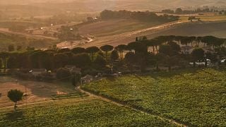 Cata de vinos Acquaviva