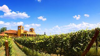 Visita guiada à vinícola | Vinícola Dezem