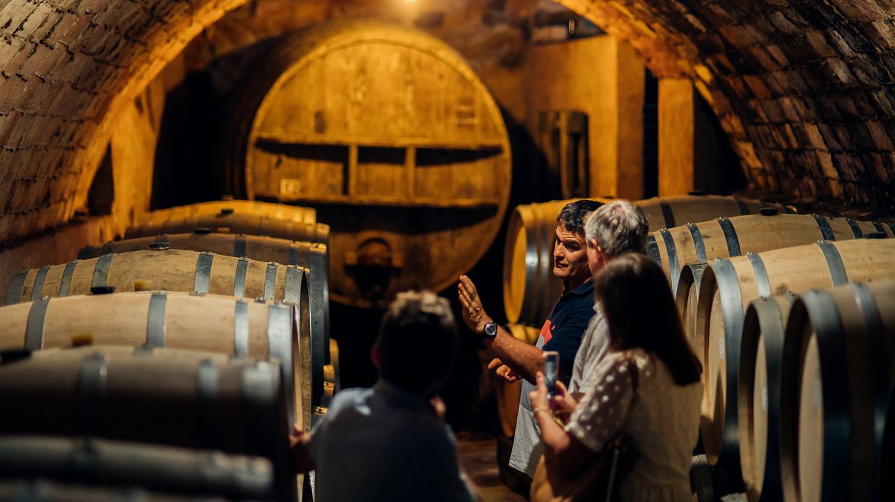 Wein- und Olivenöltour in der Weinregion Priorat – geführt von einem Einheimischen