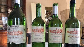 Visita y degustación en el Château-Montpezat
