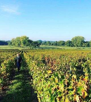 Château Lestage: A Family Legacy in Bordeaux