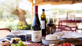 Dégustation de vins
