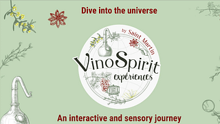 Esperienza VinoSpirit | Tour del vino e degustazione al castello di Saint-Martin
