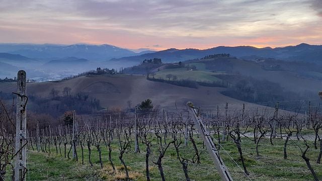 Tenuta Ca' Sciampagne