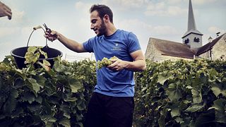 Gateway in champagne and tasting