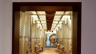 Cata de vinos y visita a los viñedos de Davino