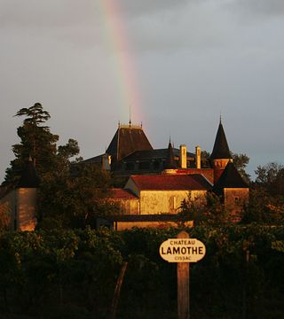 El vino, la clave en el Château Lamothe-Cissac