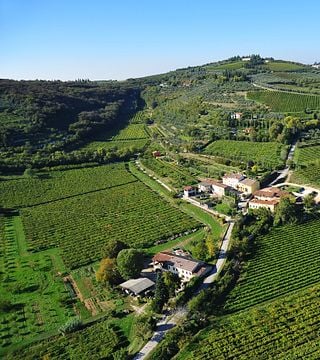 Visita a la bodega y cata de vinos en Terre Di Pietra 