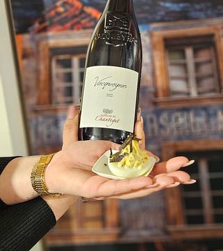 Domaine De Chantegut