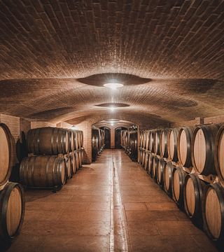 Discover Veneto Wines: Prà Tasting & Cellar Tour