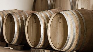 Degustazione e tour di vini a Poggio Cagnano
