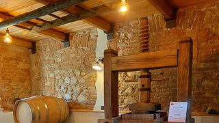 Dégustation de vins et de produits locaux à l'Azienda Agricola I Moncalvi