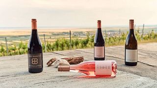 Weinprobe und Führung im Weingut Birgit Braunstein