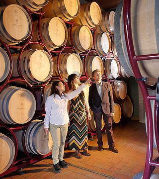 Classic Wine Tasting and Tour at Terre Del Marchesato - Bolgheri