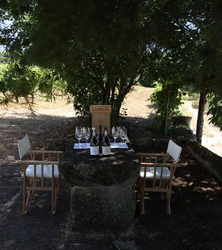 Signaturprovning