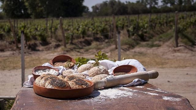 Dégustation et visite secrètes des vins de Vasija Secreta