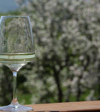 Weinverkostungserlebnisse im Weingut Maryan