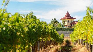 Rupel Winery