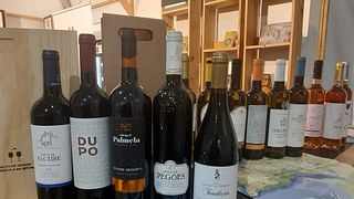 Cata de vinos icónica en Casa Mãe Da Rota De Vinhos