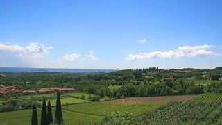 Degustação de vinhos e tour no AA Bottarelli Franco & Valerio