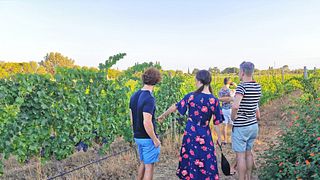 Wine Tasting, Archaeology & Landscapes Tour