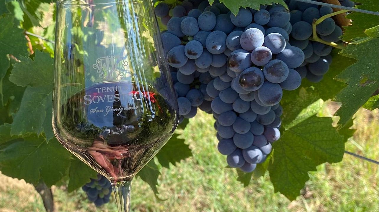 TENUTA SOVESTRO