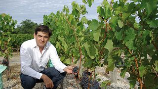 Degustação de vinhos e tour no Château Lesparre